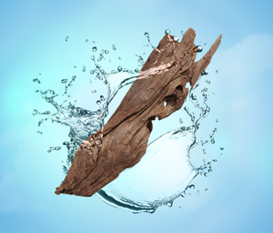 Aquatic wood sfeerbeeld
